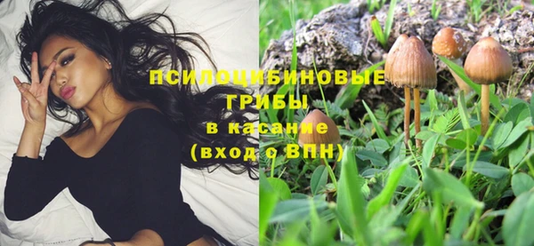 apvp Вязьма