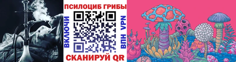 Галлюциногенные грибы Psilocybe Мариинск