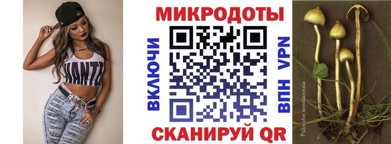 Галлюциногенные грибы Psilocybine cubensis  Мариинск 