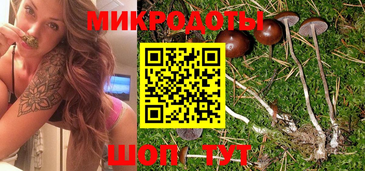 Псилоцибиновые грибы Psilocybine cubensis Мариинск