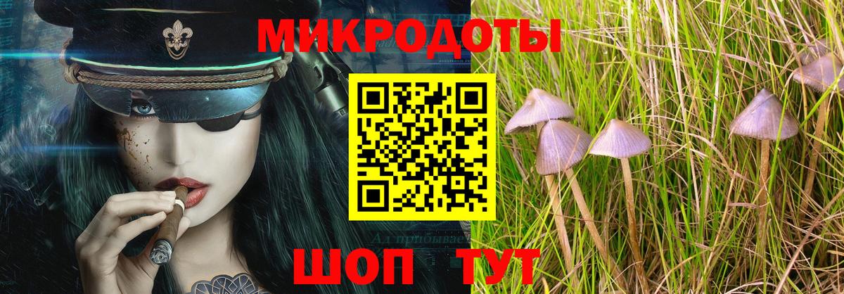 Галлюциногенные грибы мухоморы  Вход с VPN  Мариинск 