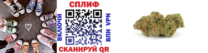 Конопля сатива Мариинск